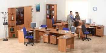 Мебель для персонала Альфа 61 Ольха в Славгороде - slavgorod.mebel54.com | фото