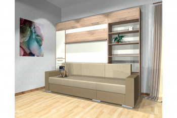Шкаф-кровать с диваном Каролина в Славгороде - slavgorod.mebel54.com | фото